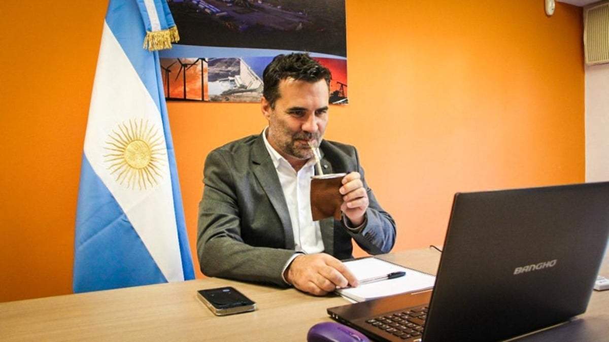 El secretario de Energía de la Nación, Darío Martínez, en un seminario virtual con funcionarios chilenos. Fuente: (Twitter)