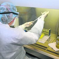 Coronavirus en Neuquén: investigan un posible contagio con la cepa de Manaos