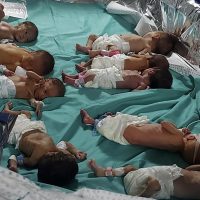 Guerra en Israel: 31 bebés son evacuados del principal hospital de Gaza