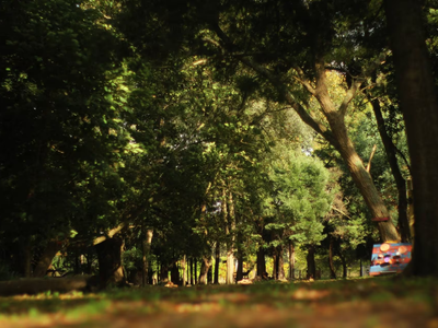 A solo 2 horas de CABA, escapate este finde al lugar de Buenos Aires que es perfecto para conocer en otoño