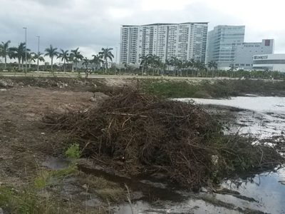 El PAN en Quintana Roo denuncia penalmente ecocidio en Tajamar