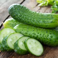Así de fácil podés sembrar pepinos en tu huerto o jardín y disfrutarlos en la cocina