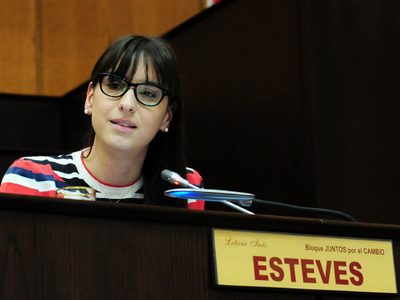 Ingresos brutos para pymes: buscan prorrogar la vigencia de la ley de Estabilidad Fiscal hasta 2027