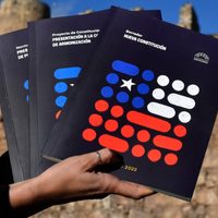 Chilenos en Neuquén exigen información sobre el padrón electoral para el plebiscito constitucional