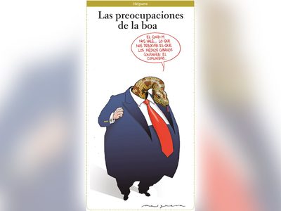 Las preocupaciones de la boa