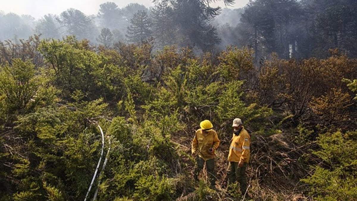 Un incendio controlado en Quillén. Fuente: (Twitter)