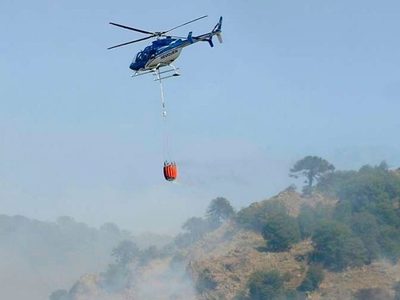 Recortes presupuestarios amenazan combate de incendios forestales