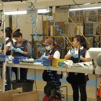 Sube el empleo, en agosto se crearon 157 mil: IMSS