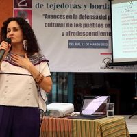 Feministas presentan un “Amicus Curiae” para que designen una candidata a la gubernatura de Oaxaca