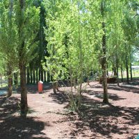 Zapala evalúa nuevas obras en el Bosque Comunal