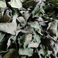 No tires las hojas de esta planta y hacé esta infusión que tiene muchos beneficios