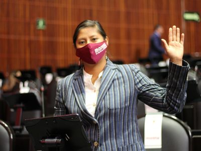 Morena propone que ONG dejen de recibir donaciones si “promueven golpismo”