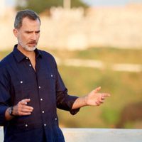 Abrió la puerta de la cocina y la vio: el rey Felipe se lo ha implorado de rodillas