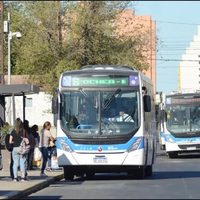 Paro nacional: qué pasará con el transporte público en Neuquén