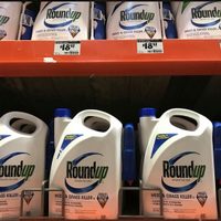Bayer indemnizará con más de 10 mil 900 mdd a presuntos afectados por herbicida