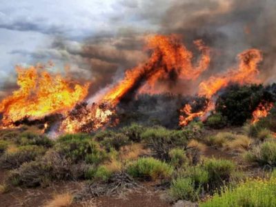 En una localidad neuquina: la caída de un rayo provocó un gran incendio