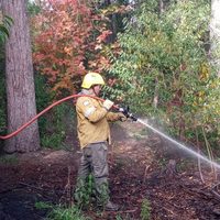Denunciaron un principio de incendio en Villa La Angostura e intervino Incendios Forestales
