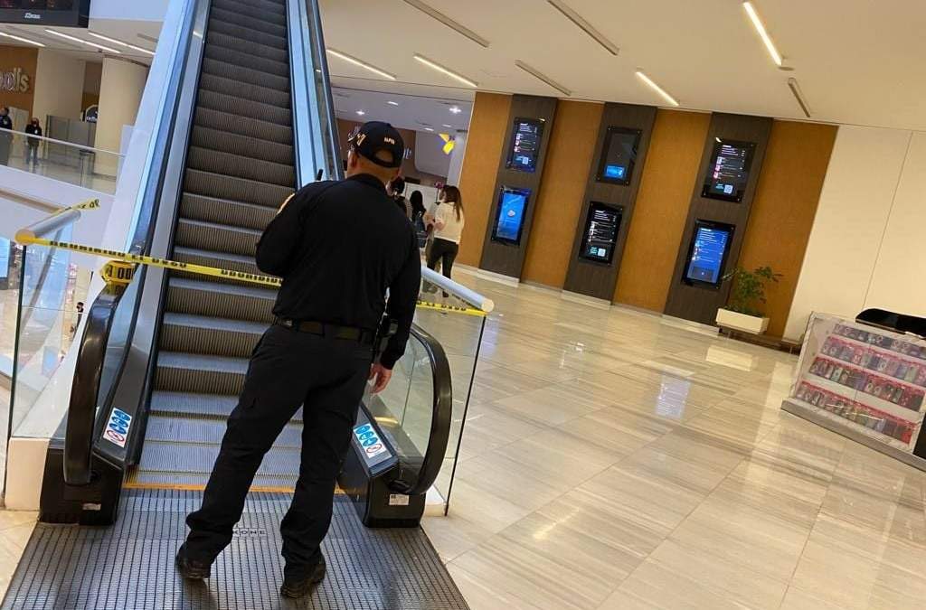 Seguridad en Plaza Carso