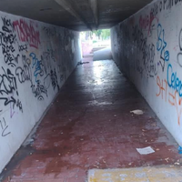 Vecinos reclaman por el degradado pasaje que une el Barrio Urquiza con el Parque Ferri