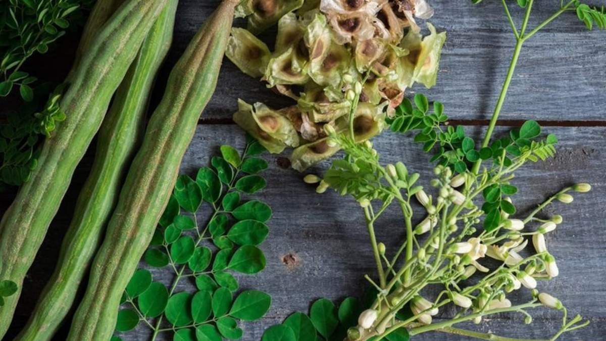 Moringa. Fuente: (Instagram)