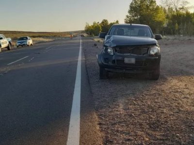 Dos vehículos chocaron con un caballo que andaba suelto sobre la ruta 237 a la altura de El Chocón