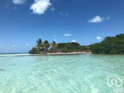 Ponen a la venta Cayo Culebra, la última isla virgen de la Riviera Maya; este es el precio