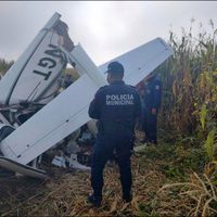 Se desploma avioneta en Otzolotepec; reportan tres personas muertas
