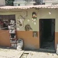 Caen dos en Tultitlán por maltrato animal; los acusan por vender tacos de perro