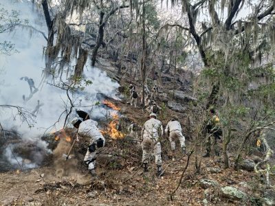 204 incendios activos en México, el mayor número de siniestros registrados en un día