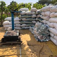 El 'granero de Chiapas”, en riesgo de perder la cosecha