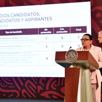 Suman 15 asesinados en este proceso electoral; van 273 solicitudes de protección para candidatos