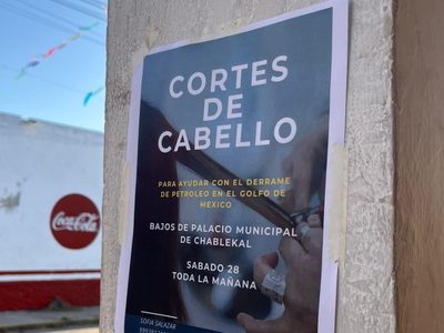 Colecta nacional de cabello: 16 estados se unen para frenar el impacto del derrame en Veracruz
