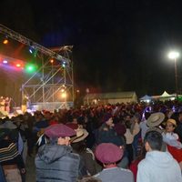 Fin de semana largo en el Alto Neuquén: Tricao Malal invita a la Fiesta del Loro Barranquero