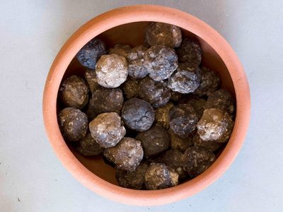 La tierra comestible mexicana que se usa para postres