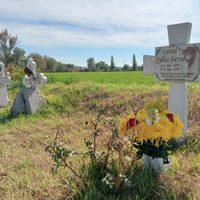 Tlahuelilpan, a seis años: Las mismas demandas por la ayuda que no llegó, en medio del fuego cruzado