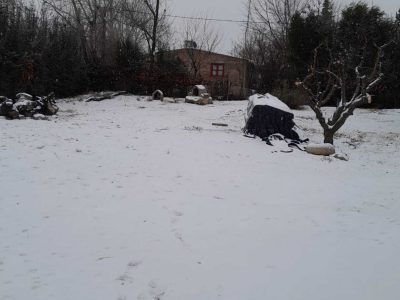 Por el frío, la DGE suspendió las clases en toda la provincia