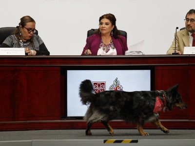 Anuncian protocolo contra disturbios para la próxima marcha contra la gentrificación