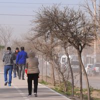 El clima para este sábado en Neuquén: cómo estará la jornada