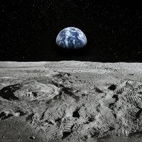 Plantas lunares: lograron cultivar una especie en tierra traída desde la Luna