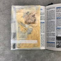 La PF asegura éxtasis, calcomanías de LSD y metanfetamina en aeropuerto de Tijuana