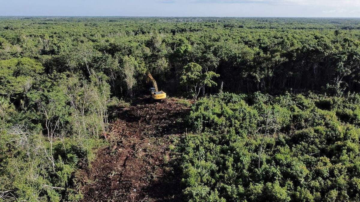 El desmonte se pretende a las afueras de Cancún