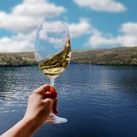 Propuesta de enoturismo navegando por el río Miño en España