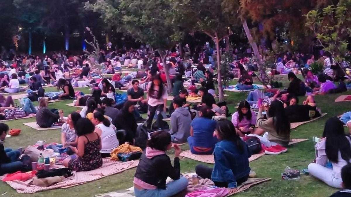 Picnic nocturno