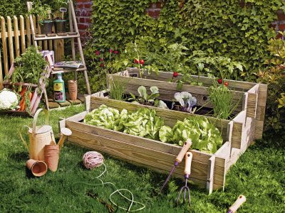 Manos a la obra: las plantas que tenés que sembrar en septiembre para tener una cosecha abundante en verano