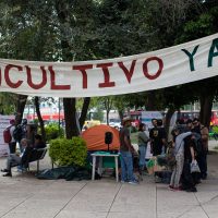 Comisiones en el Senado acuerdan nuevo dictamen para legalizar la mariguana