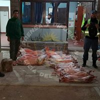Secuestraron chivos y ovejas faenadas que venían de Mendoza