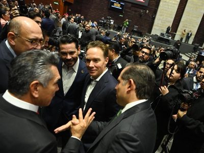 PVEM analiza diferentes propuestas sobre cambios en plurinominales en reforma electoral