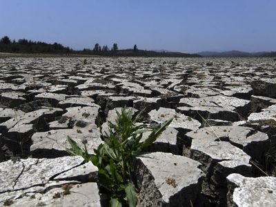 Megasequía en Chile: más de la mitad de las comunas están en escasez hídrica