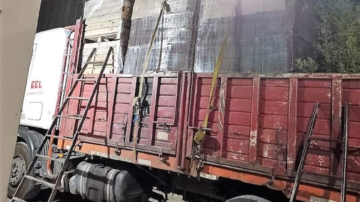 En La Pampa, Senasa decomisó hortalizas y químicos. Fuente: (Senasa).