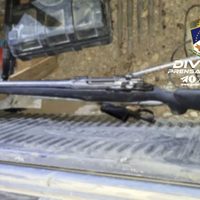 En un operativo de control vehicular, policías y gendarmes secuestraron armas de fuego